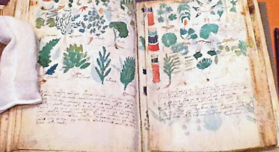 Misteri Manuskrip Voynich