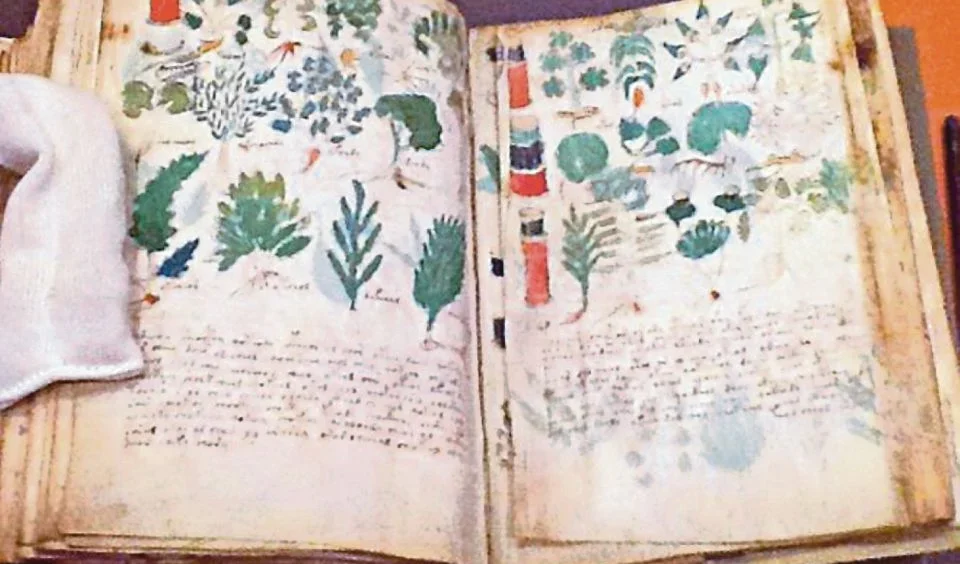 Misteri Manuskrip Voynich